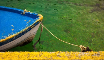Marina Grande, Island of Capri.