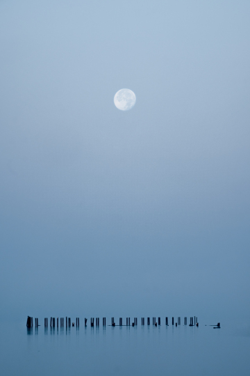 Full moon in Fog, Fraser River, Canada