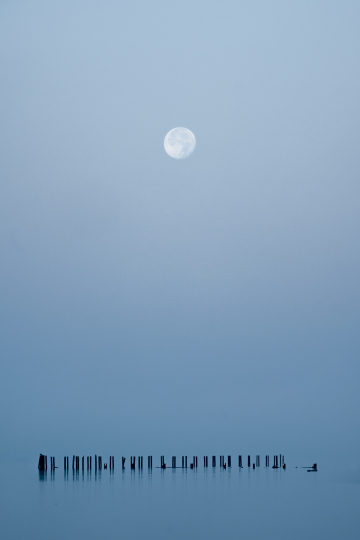 Full moon in Fog, Fraser River, Canada