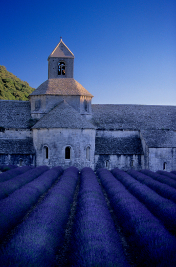 Abbey Senanque, near Gordes, Provence