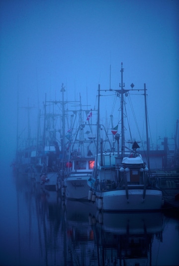 Foggy morning, Steveston, Canada