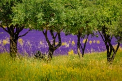 Near Banon, Provence