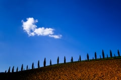 Along the Road To Montalcino