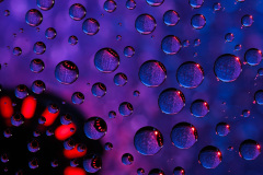 Water Droplets on Glass