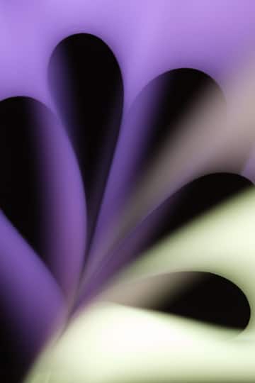 Paper Abstract