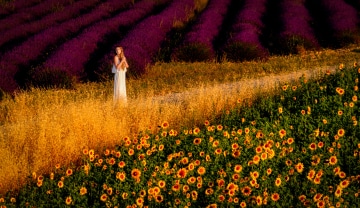 Provence