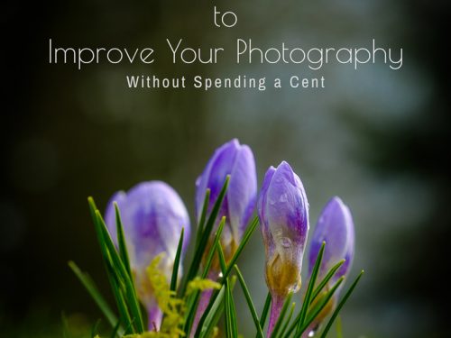 Twelve Ways to Improve Your Photography