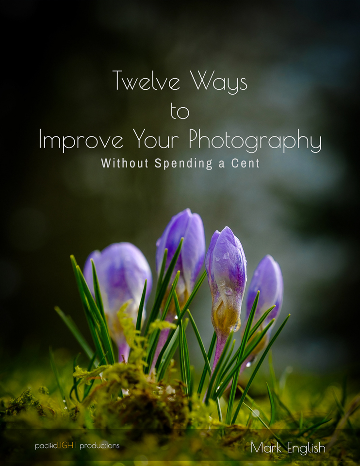 Twelve Ways to Improve Your Photography