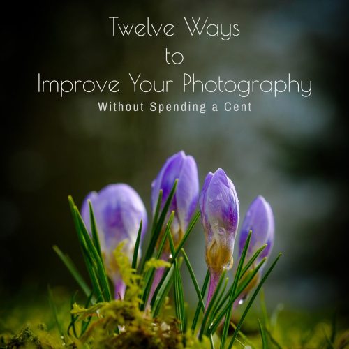 Twelve Ways to Improve Your Photography