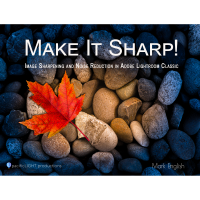 Red leaf on smooth rocks photo editing book cover.