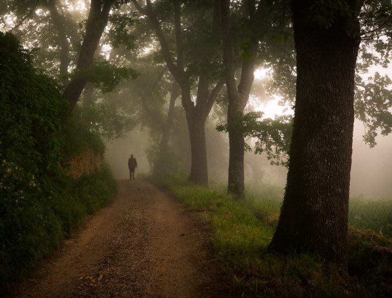 Person walking on foggy forest path.