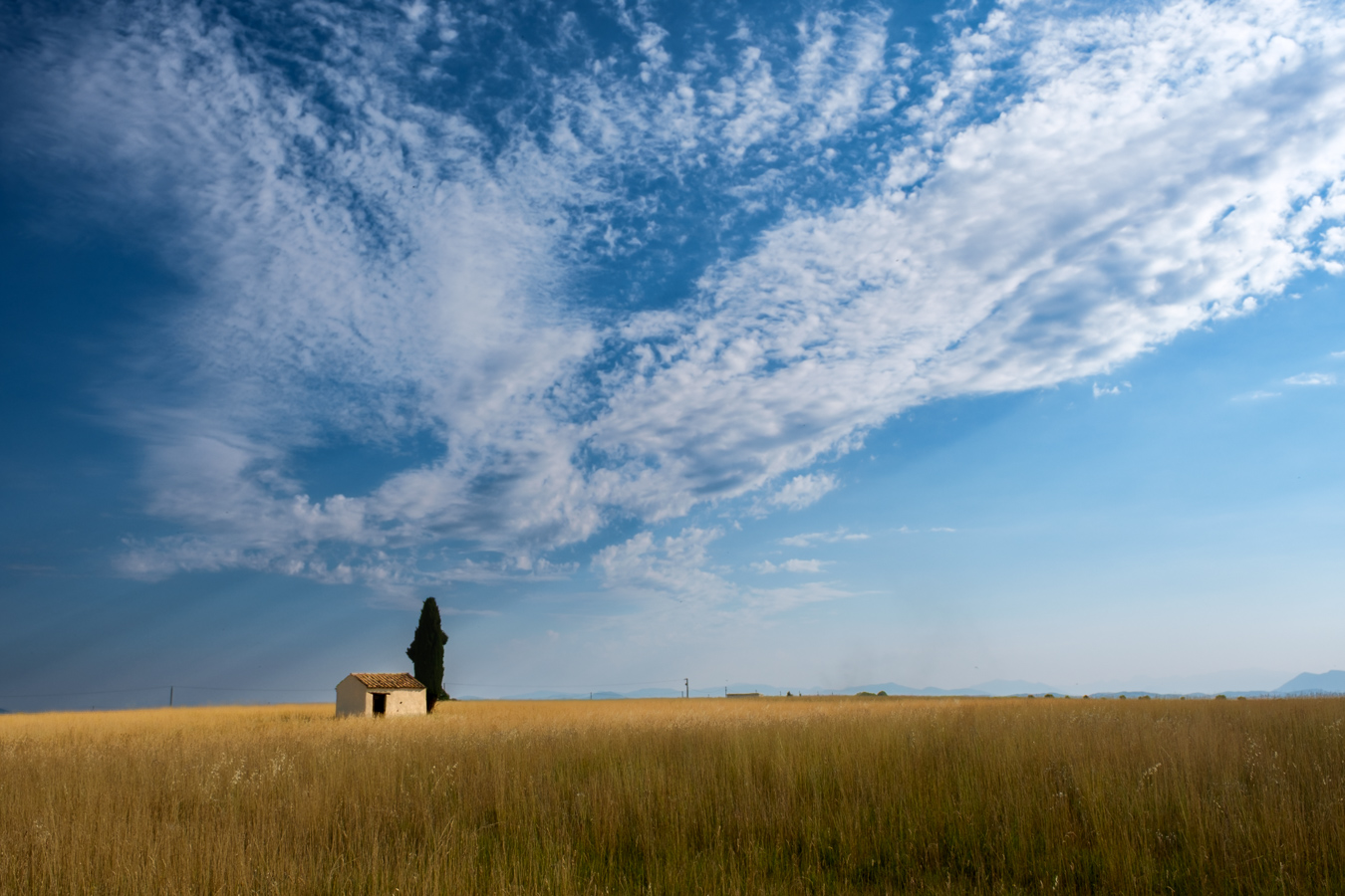 Lonely house in field under blue sky