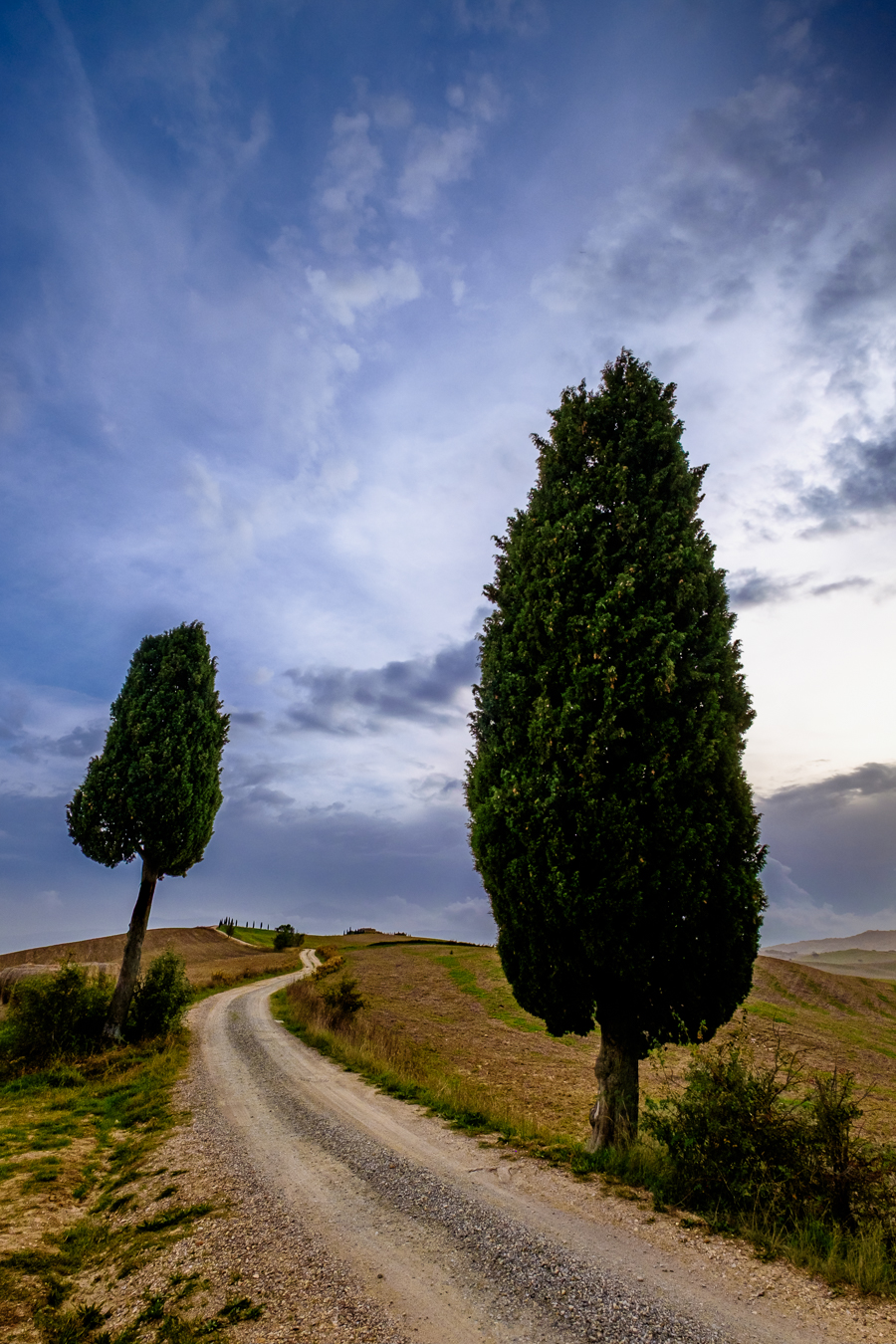 Winding gravel road between two tall cypress trees under a dramatic cloudy sky.