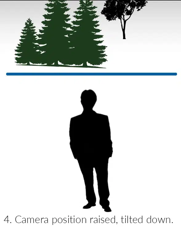 Silhouette of person under trees, camera tilted down.