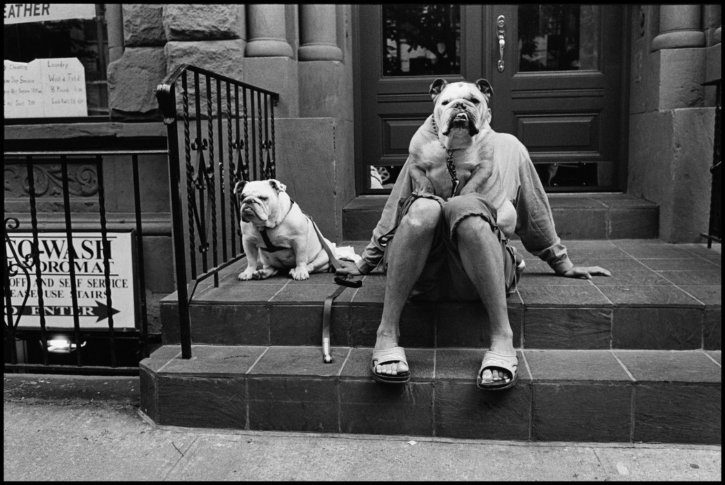 Black-and-white photo of a person sitting on a stoop with two bulldogs, one positioned in front of the person’s torso